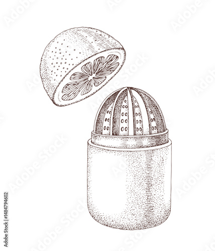 Citrus hand juicer and orange