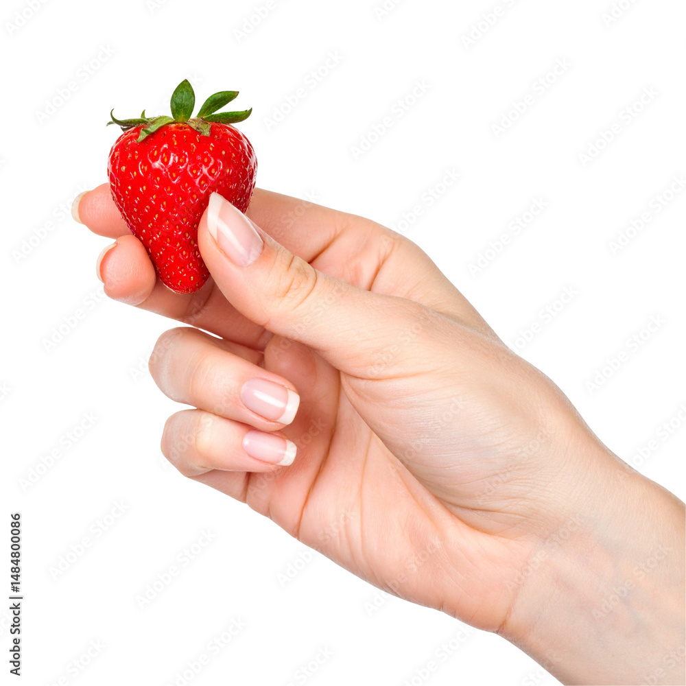 Obraz premium Hand holding fresh red strawberry against black background
