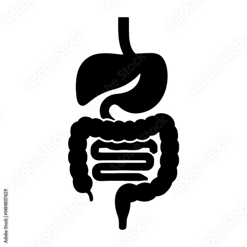 Illustration of human digestive system anatomy for medical education and healthcare awareness design vector