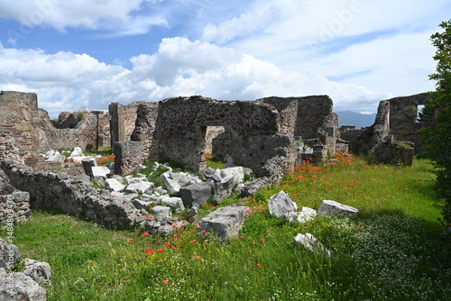Fototapeta Naklejka Na Ścianę i Meble -  Historic streets of Ancient  roman city of Pompeii Italy on the shadow of Mt Vesuvius.Roman world, UNESCO World Heritage Site, Pompeii Archaeological Park. Italy