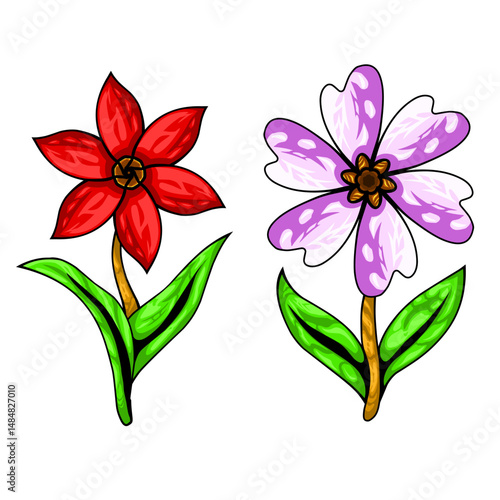 illustration of a red and vanilla flower stalk, for design attributes, backgrounds or decorations to beautify the work