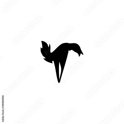 American bird Vector illustration