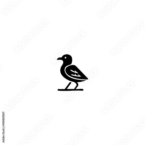 American bird Vector illustration