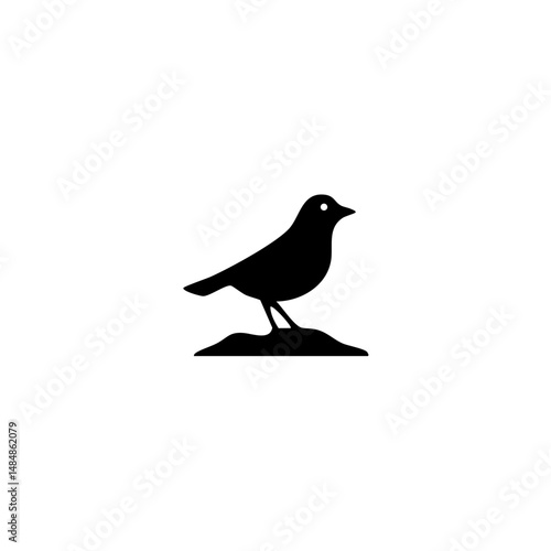 American bird Vector illustration