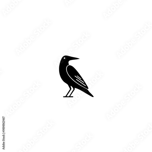 American bird Vector illustration