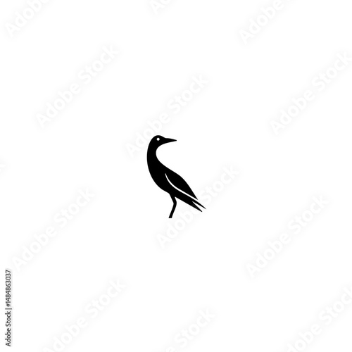 American bird Vector illustration