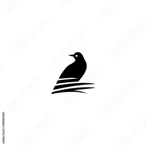 American bird Vector illustration