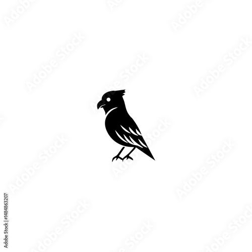 American bird Vector illustration