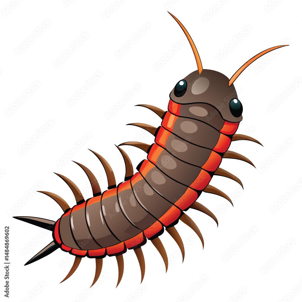 Fototapeta premium Millipede