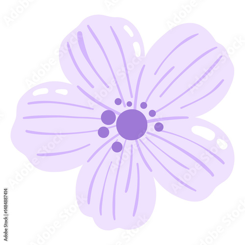 purple flower 