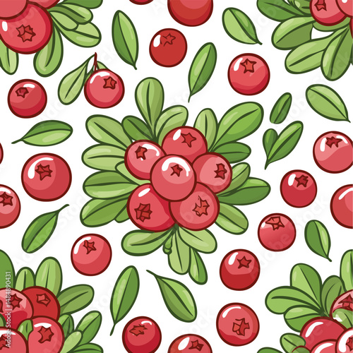 Lingonberry Vector Illustration with Seamless Pattern Design