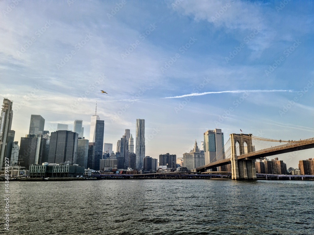 Naklejka premium brooklyn