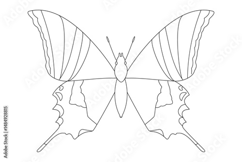 vector realistic butterfly. Cartoon black and white clip art isolated on transparent background. Hand drown design 

element.
