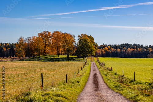 autumn in the park