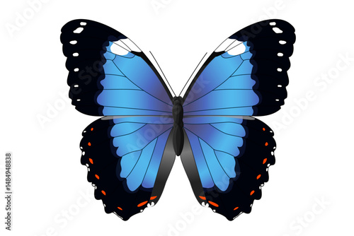 vector realistic butterfly. Cartoon color volume clip art isolated on transparent background. Hand drown design element.