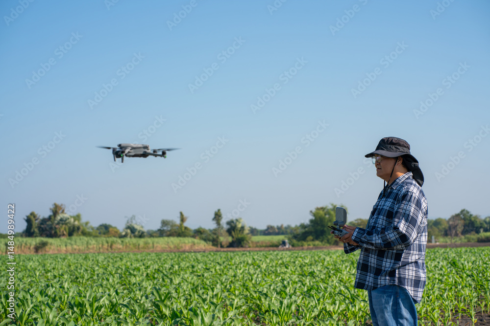custom made wallpaper toronto digitalAgronomist Using Technology in Agricultural Corn Field. Drone flying over green corn fields.