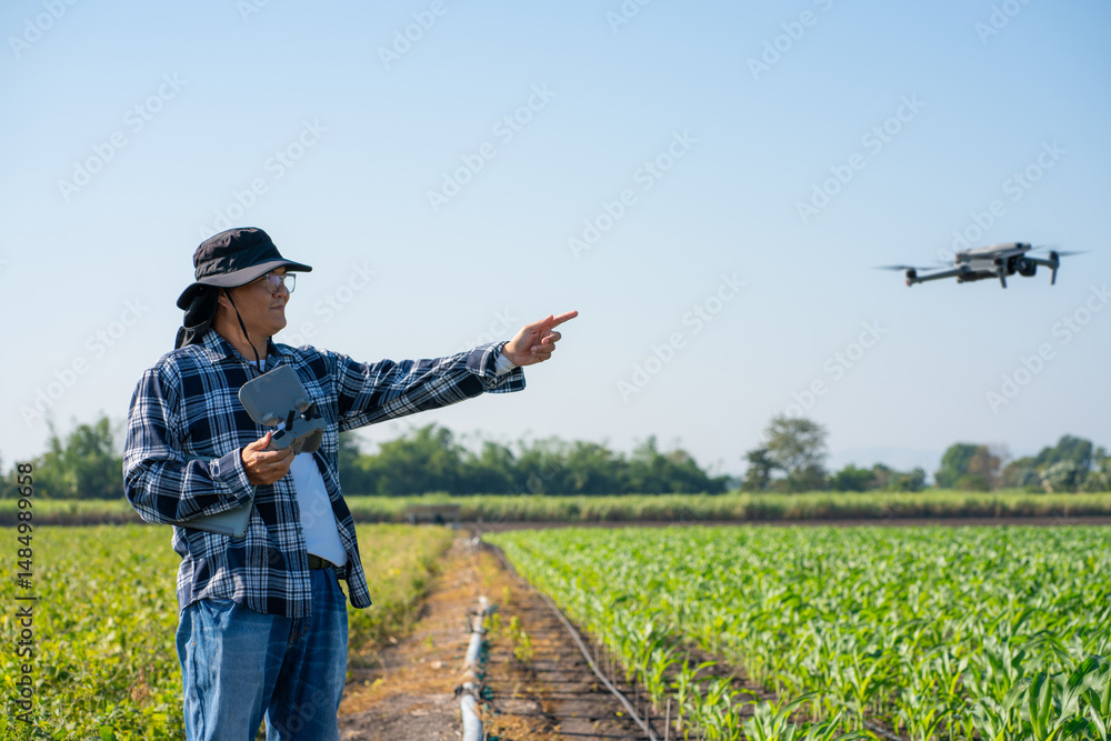 custom made wallpaper toronto digitalAgronomist Using Technology in Agricultural Corn Field. Drone flying over green corn fields.