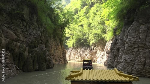Spring Bloom Along the Yangtze River