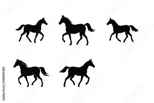 creative black stallion horse vector