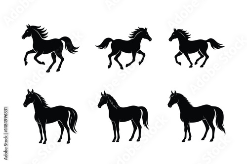 vector image of black stallion horse