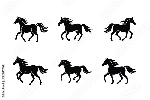 black stallion profile illustration