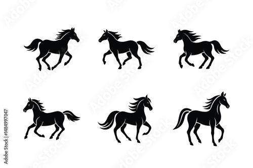 wild black stallion silhouette artwork