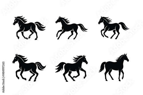black stallion standing profile silhouette