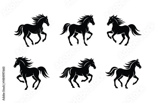 dynamic black stallion pose silhouette