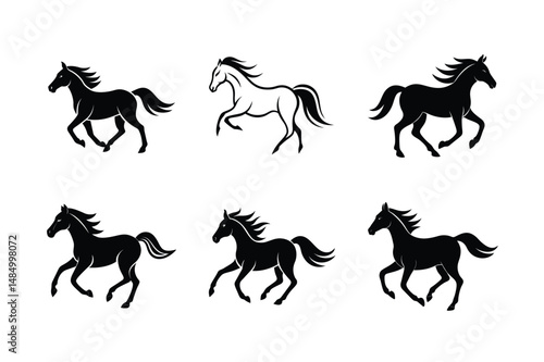 graceful black stallion horse vector