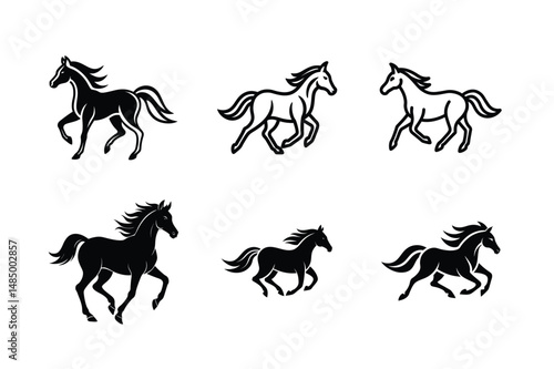 rearing black horse black stallion