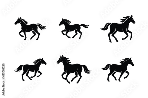 black stallion turning head vector