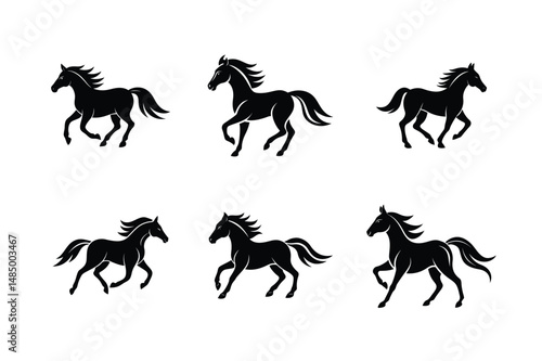 calm black stallion standing still