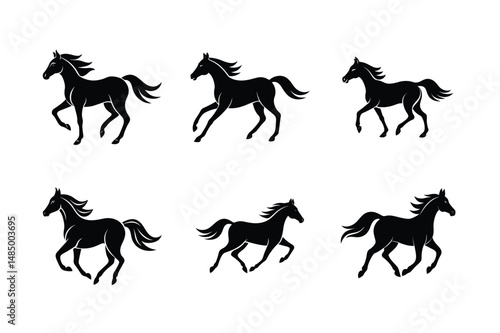 black stallion equine silhouette