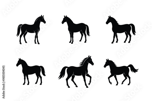 speedy black stallion motion vector