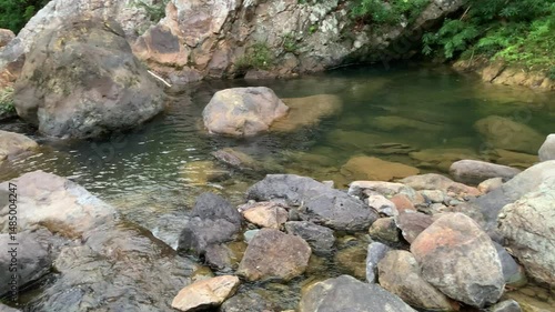 Tranquil Stream in Pristine Natural Forest