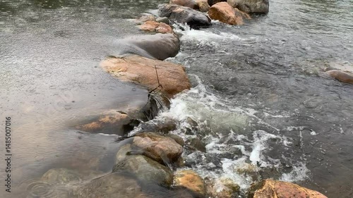 Calm River With Green Plants and Stones