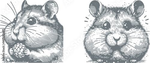 Adorable Hamster with Puffy Cheeks and Wide Eyes – Detailed Woodcut & Engraving Design for Crafts, Gifts, and Home Decor – Cute Small Animal Art Illustration