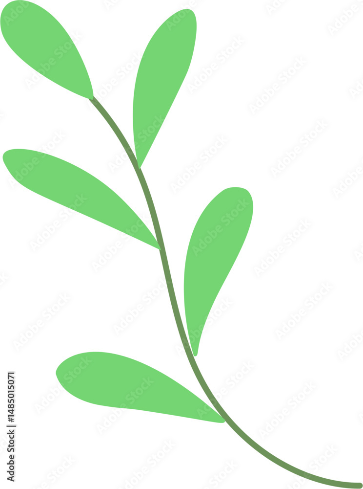 Green Leaf Aquatic Plants Illustration Green Leaf Aquatic Plants Illustration