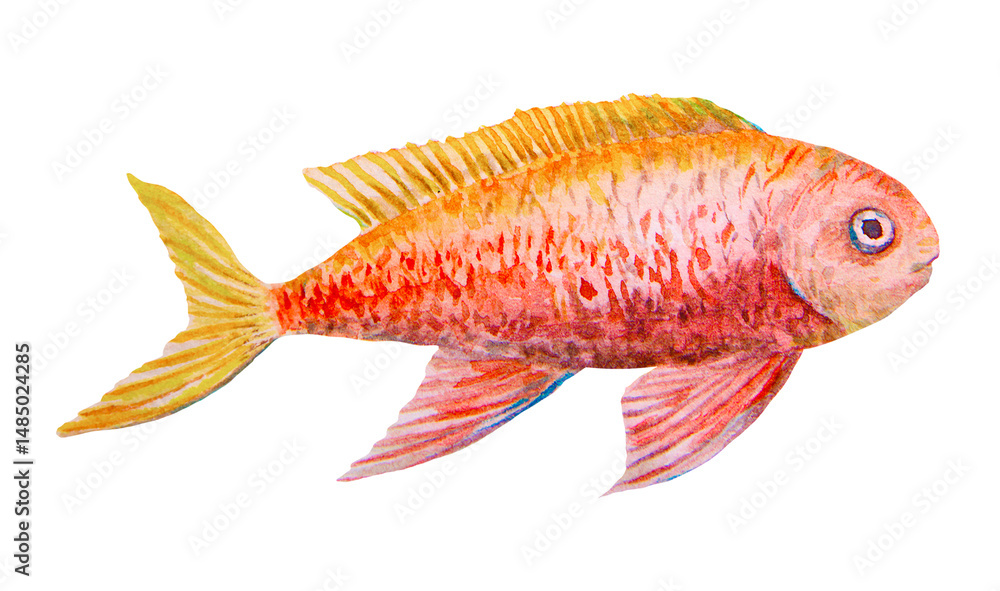 Fototapeta premium Tropical orange-red fish with yellow fins. Watercolor hand drawn illustration of a bright sea creature. Perfect for marine-themed designs, kids projects, aquarium decor, diving and travel visuals.