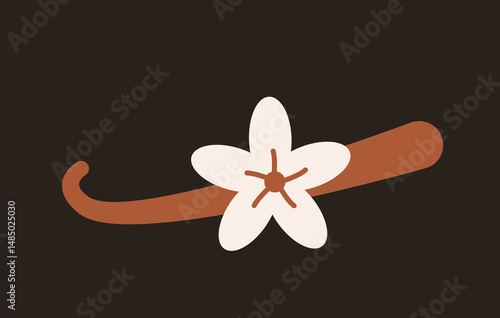 Vanilla flower and brown vanilla pod. Flat vector illustration in beige and brown on dark background.