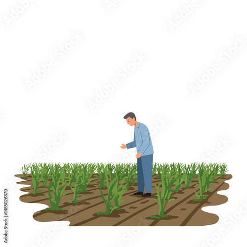 A Farmer's Green Acres: A dedicated farmer, meticulously inspecting a field of young crops, exemplifying the timeless bond between humans and agriculture.