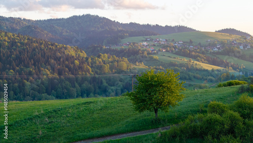 Aerial view of fields and landscape in the Pieniny Mountains in Poland during a May sunset, beautiful fresh spring greenery bathed in the light of the setting sun.