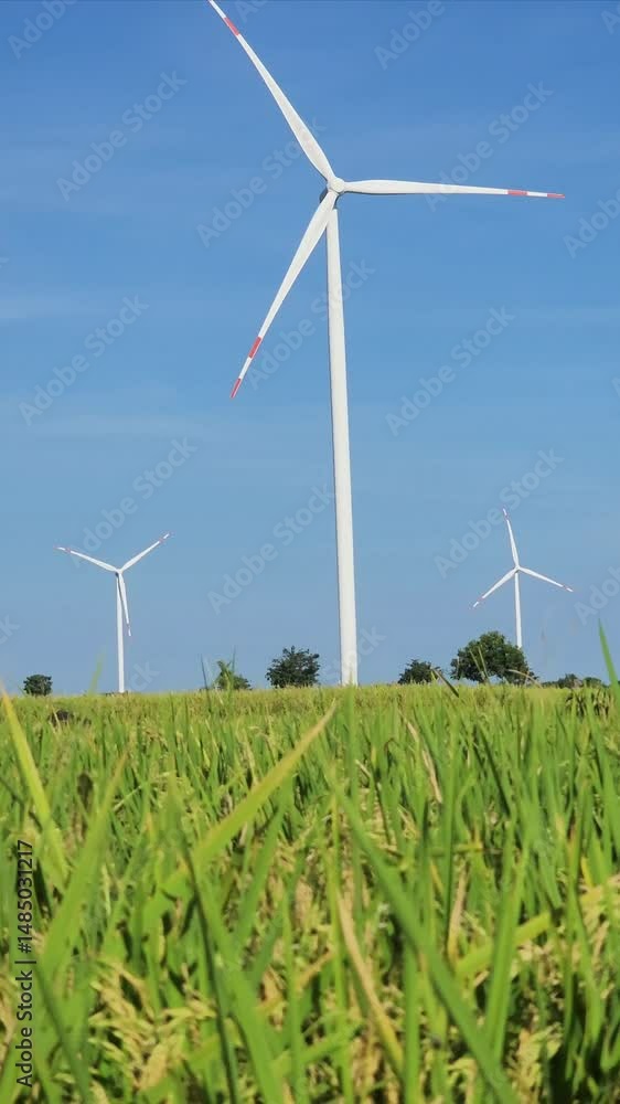 wind turbines farm