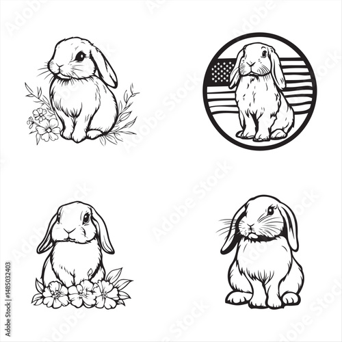 Illustration set of brown Holland Lop rabbits