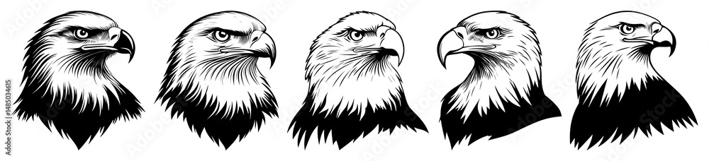 Obraz premium PNG Eagle art illustration black transparent background.