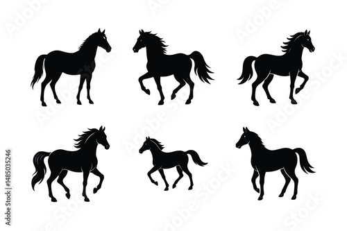 black stallion horse in motion