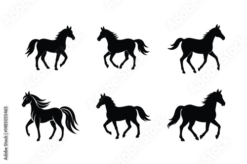 black stallion with arched neck