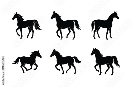 animated style black stallion vector