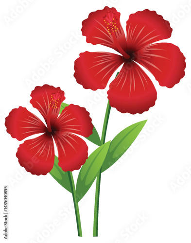 Vibrant Red Hibiscus Floral Vector Illustration