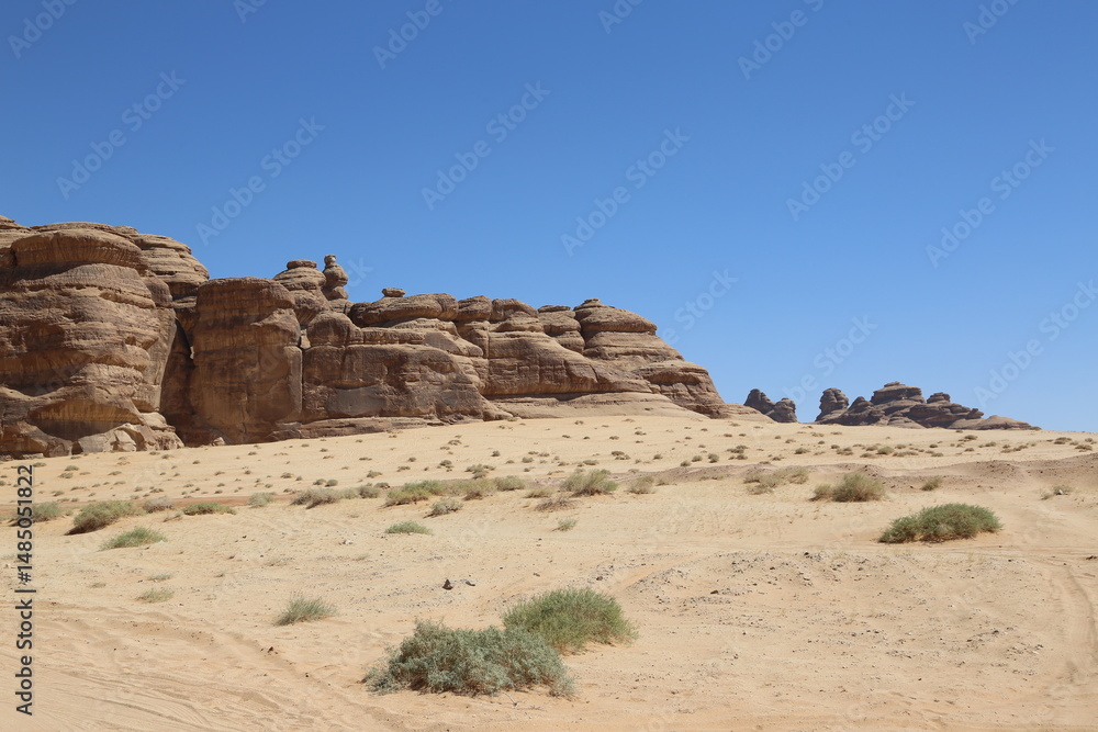 Fototapeta premium Madain Saleh, Saudi Arabia 